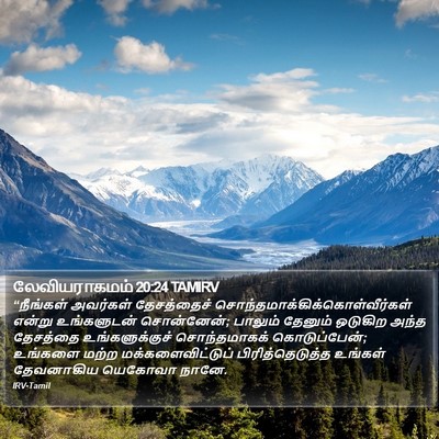 லேவியராகமம் 20:24 TAMIRV Bible Verse Image