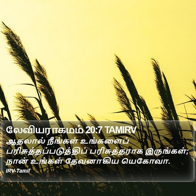 லேவியராகமம் 20:7 TAMIRV Bible Verse Image