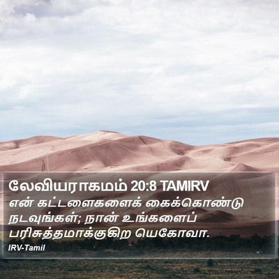 லேவியராகமம் 20:8 TAMIRV Bible Verse Image