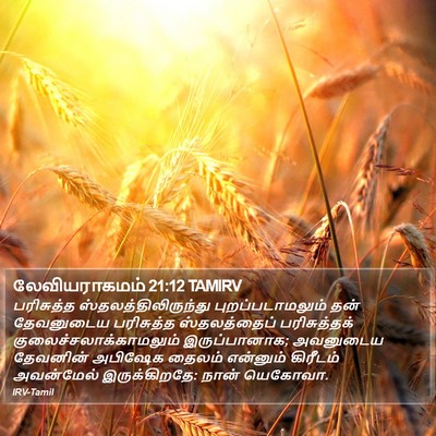 லேவியராகமம் 21:12 TAMIRV Bible Verse Image