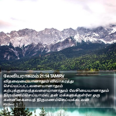லேவியராகமம் 21:14 TAMIRV Bible Verse Image