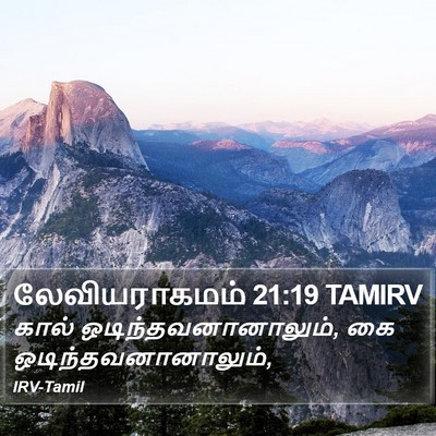 லேவியராகமம் 21:19 TAMIRV Bible Verse Image