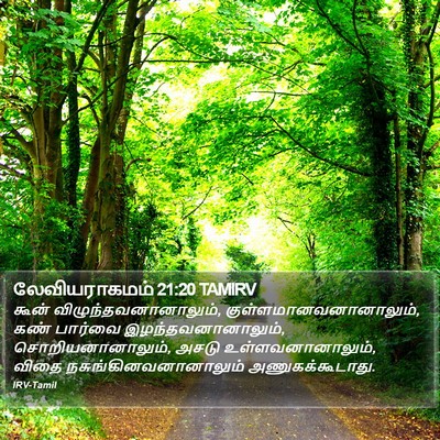 லேவியராகமம் 21:20 TAMIRV Bible Verse Image