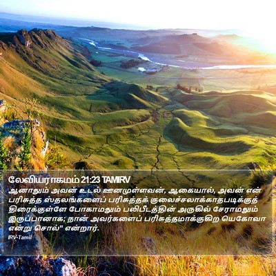 லேவியராகமம் 21:23 TAMIRV Bible Verse Image