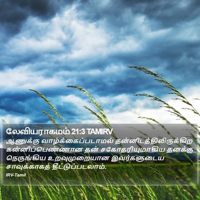 லேவியராகமம் 21:3 TAMIRV Bible Verse Image