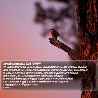 லேவியராகமம் 22:18 TAMIRV Bible Verse Image
