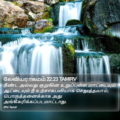 லேவியராகமம் 22:23 TAMIRV Bible Verse Image
