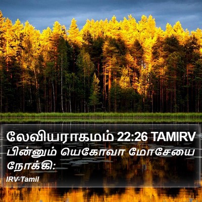 லேவியராகமம் 22:26 TAMIRV Bible Verse Image