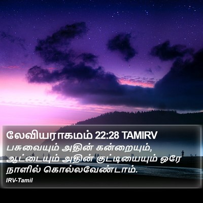 லேவியராகமம் 22:28 TAMIRV Bible Verse Image