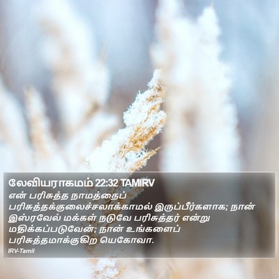 லேவியராகமம் 22:32 TAMIRV Bible Verse Image