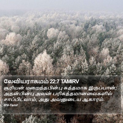 லேவியராகமம் 22:7 TAMIRV Bible Verse Image