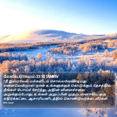 லேவியராகமம் 23:10 TAMIRV Bible Verse Image