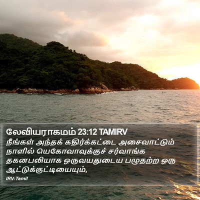 லேவியராகமம் 23:12 TAMIRV Bible Verse Image