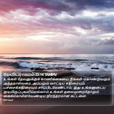லேவியராகமம் 23:14 TAMIRV Bible Verse Image