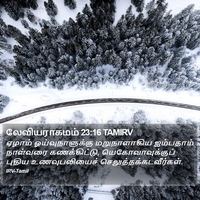 லேவியராகமம் 23:16 TAMIRV Bible Verse Image