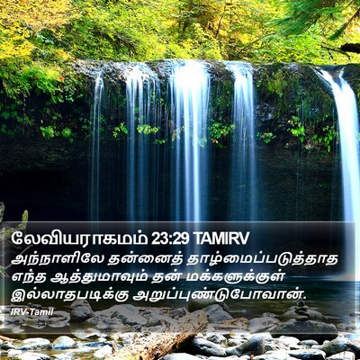 லேவியராகமம் 23:29 TAMIRV Bible Verse Image