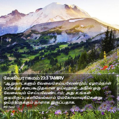 லேவியராகமம் 23:3 TAMIRV Bible Verse Image