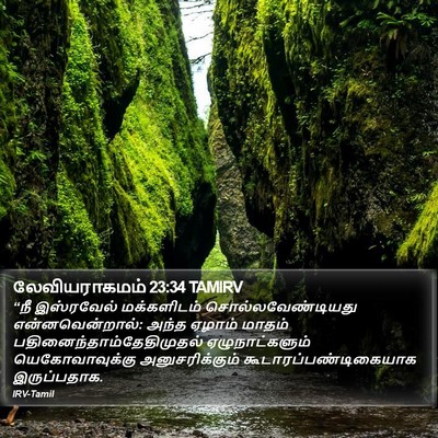 லேவியராகமம் 23:34 TAMIRV Bible Verse Image