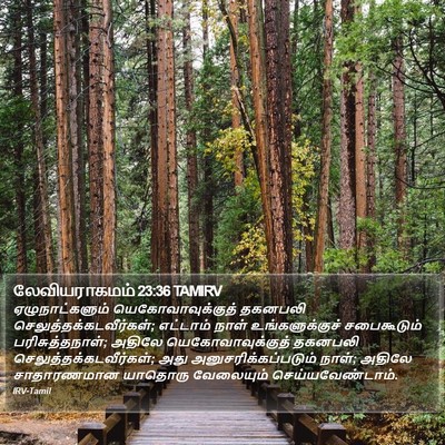 லேவியராகமம் 23:36 TAMIRV Bible Verse Image
