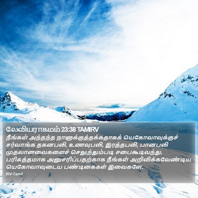 லேவியராகமம் 23:38 TAMIRV Bible Verse Image