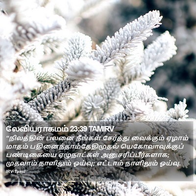 லேவியராகமம் 23:39 TAMIRV Bible Verse Image