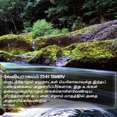 லேவியராகமம் 23:41 TAMIRV Bible Verse Image
