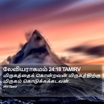 லேவியராகமம் 24:18 TAMIRV Bible Verse Image