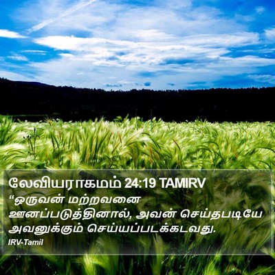 லேவியராகமம் 24:19 TAMIRV Bible Verse Image