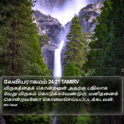 லேவியராகமம் 24:21 TAMIRV Bible Verse Image
