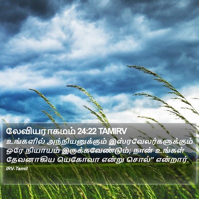 லேவியராகமம் 24:22 TAMIRV Bible Verse Image