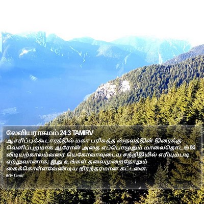 லேவியராகமம் 24:3 TAMIRV Bible Verse Image