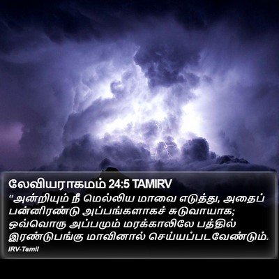 லேவியராகமம் 24:5 TAMIRV Bible Verse Image