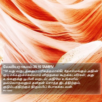 லேவியராகமம் 25:10 TAMIRV Bible Verse Image