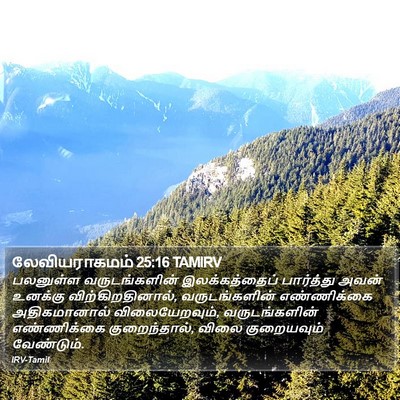 லேவியராகமம் 25:16 TAMIRV Bible Verse Image