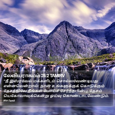 லேவியராகமம் 25:2 TAMIRV Bible Verse Image