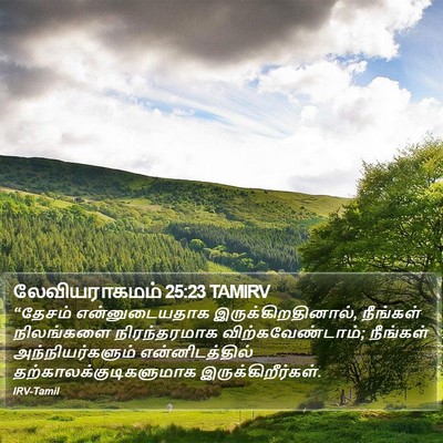 லேவியராகமம் 25:23 TAMIRV Bible Verse Image