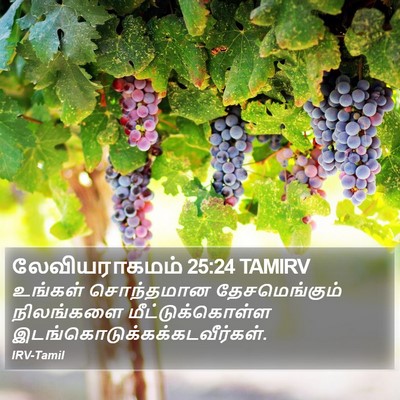 லேவியராகமம் 25:24 TAMIRV Bible Verse Image