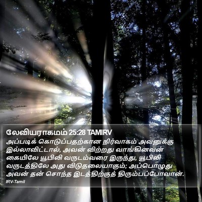 லேவியராகமம் 25:28 TAMIRV Bible Verse Image