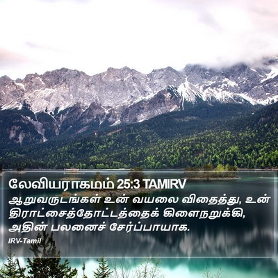 லேவியராகமம் 25:3 TAMIRV Bible Verse Image