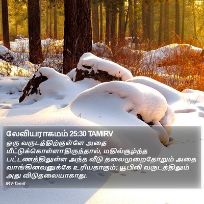 லேவியராகமம் 25:30 TAMIRV Bible Verse Image