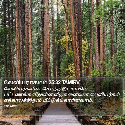 லேவியராகமம் 25:32 TAMIRV Bible Verse Image
