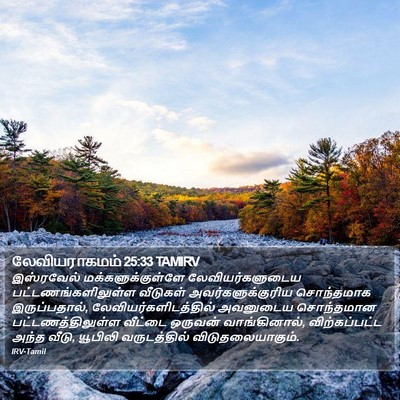 லேவியராகமம் 25:33 TAMIRV Bible Verse Image