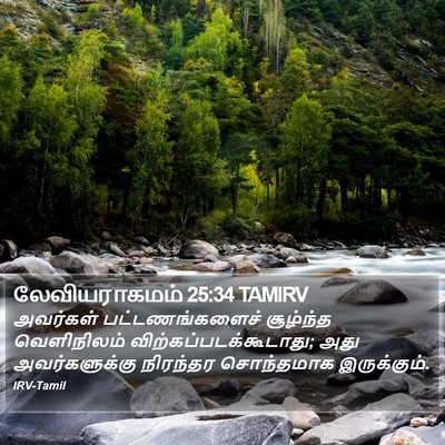 லேவியராகமம் 25:34 TAMIRV Bible Verse Image