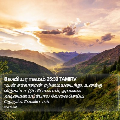 லேவியராகமம் 25:39 TAMIRV Bible Verse Image