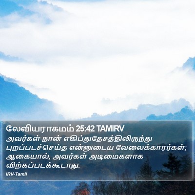 லேவியராகமம் 25:42 TAMIRV Bible Verse Image