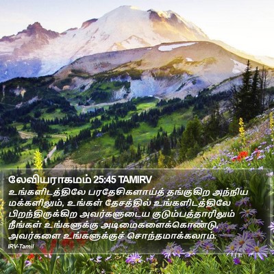 லேவியராகமம் 25:45 TAMIRV Bible Verse Image