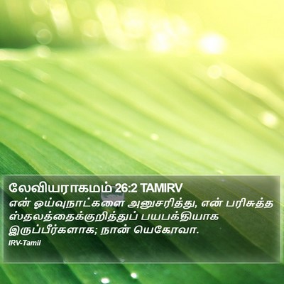 லேவியராகமம் 26:2 TAMIRV Bible Verse Image