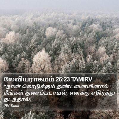 லேவியராகமம் 26:23 TAMIRV Bible Verse Image