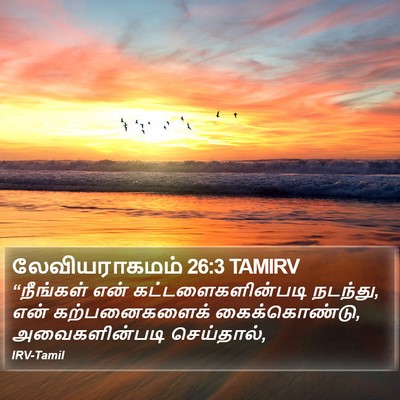 லேவியராகமம் 26:3 TAMIRV Bible Verse Image