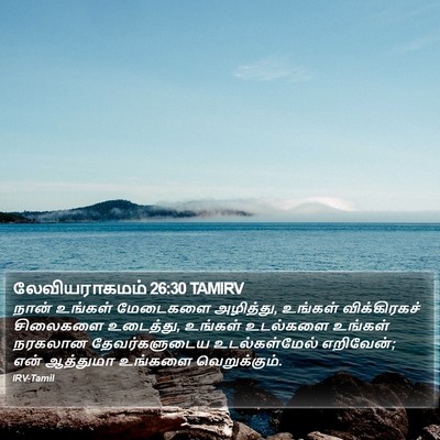 லேவியராகமம் 26:30 TAMIRV Bible Verse Image